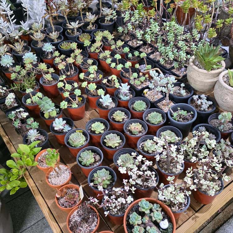 feed image 4