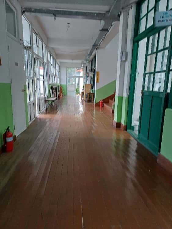 feed image 3