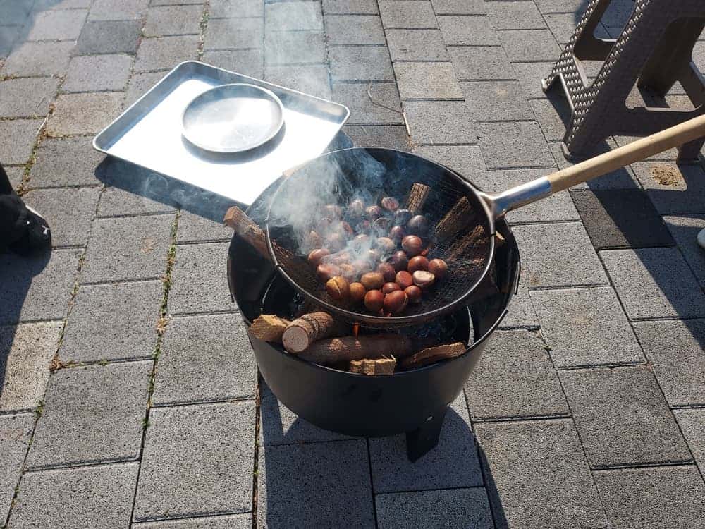 feed image 2