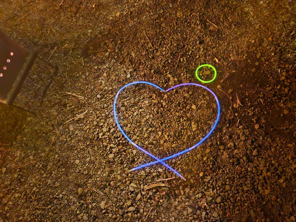 feed image 3