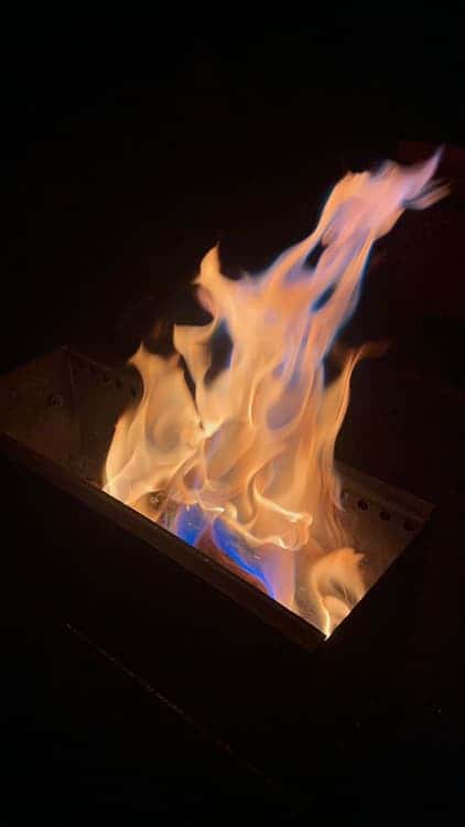 feed image 4