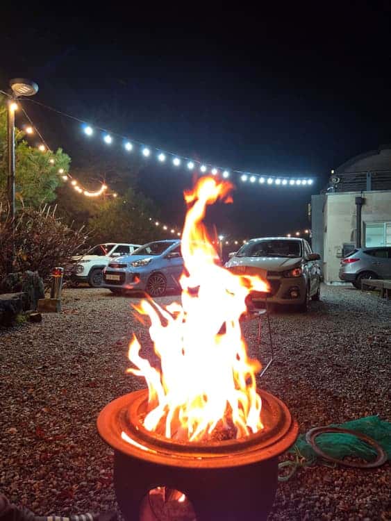 feed image 4