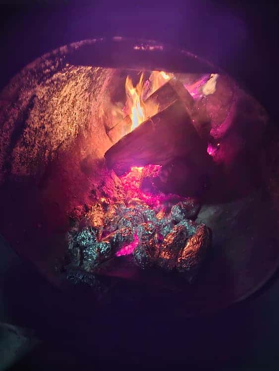 feed image 1