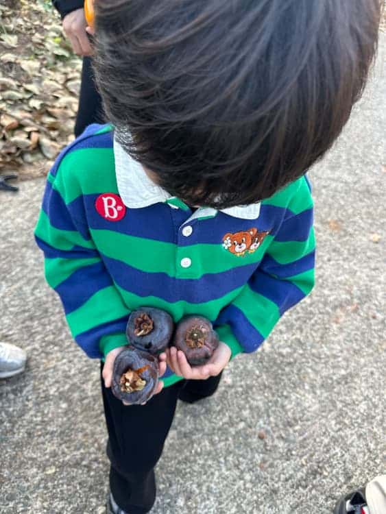 feed image 3