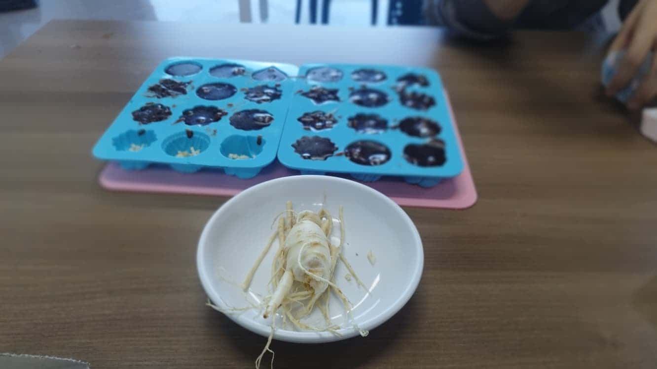 feed image 1