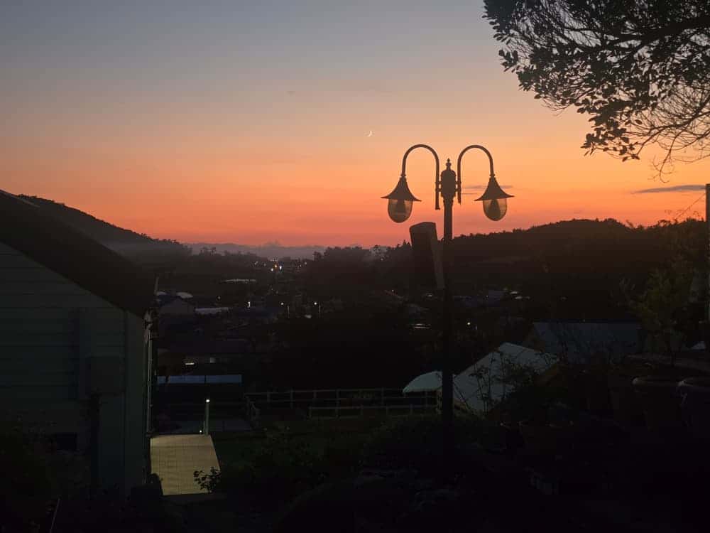 feed image 4