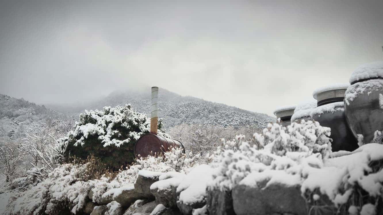 feed image 2