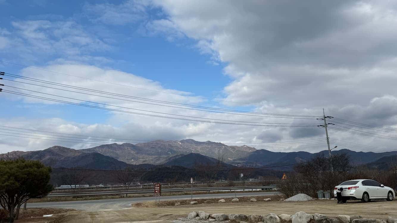 feed image 1