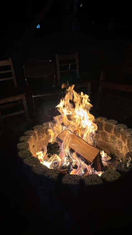 feed image 1