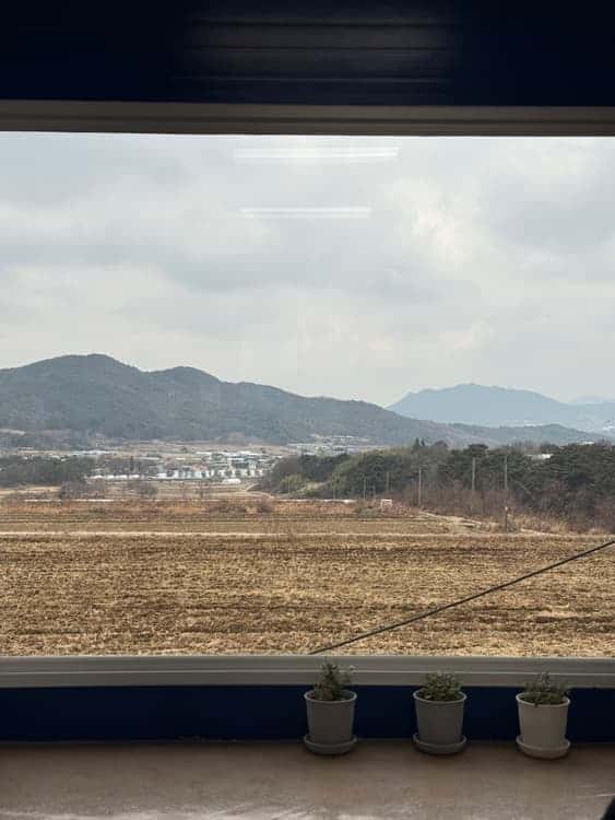 feed image 1