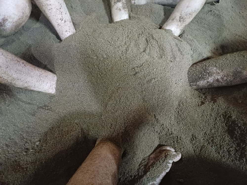 feed image 1