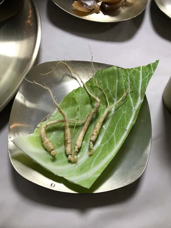 feed image 3