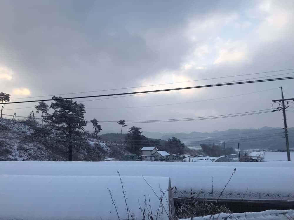 feed image 1