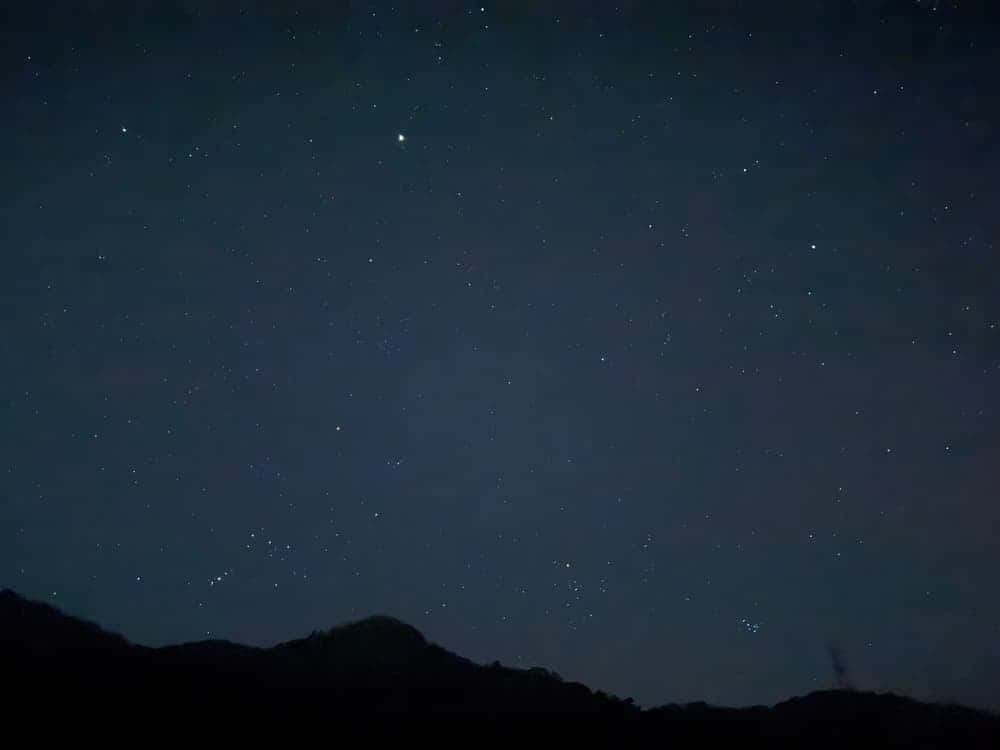 feed image 4