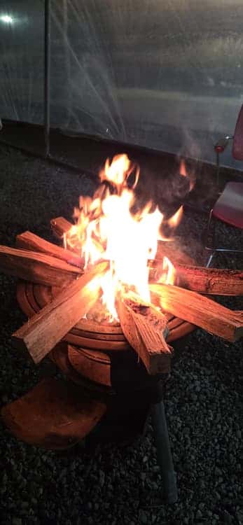 feed image