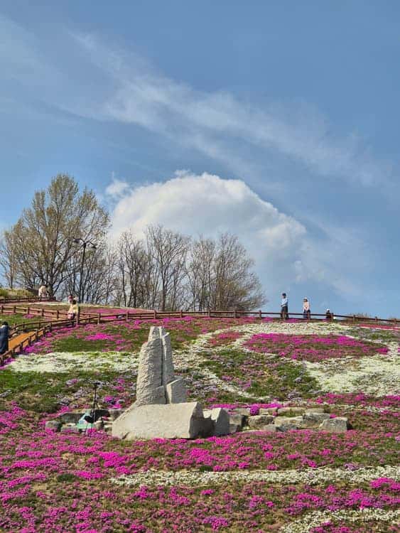 feed image 1