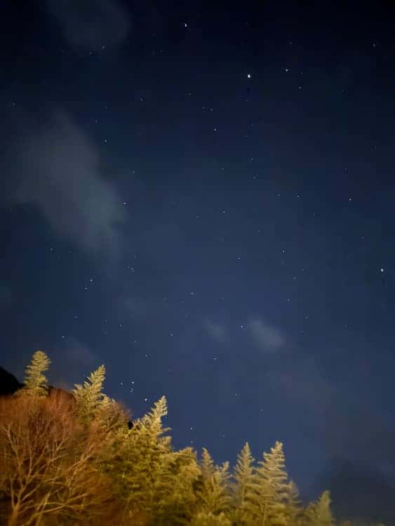 feed image 1