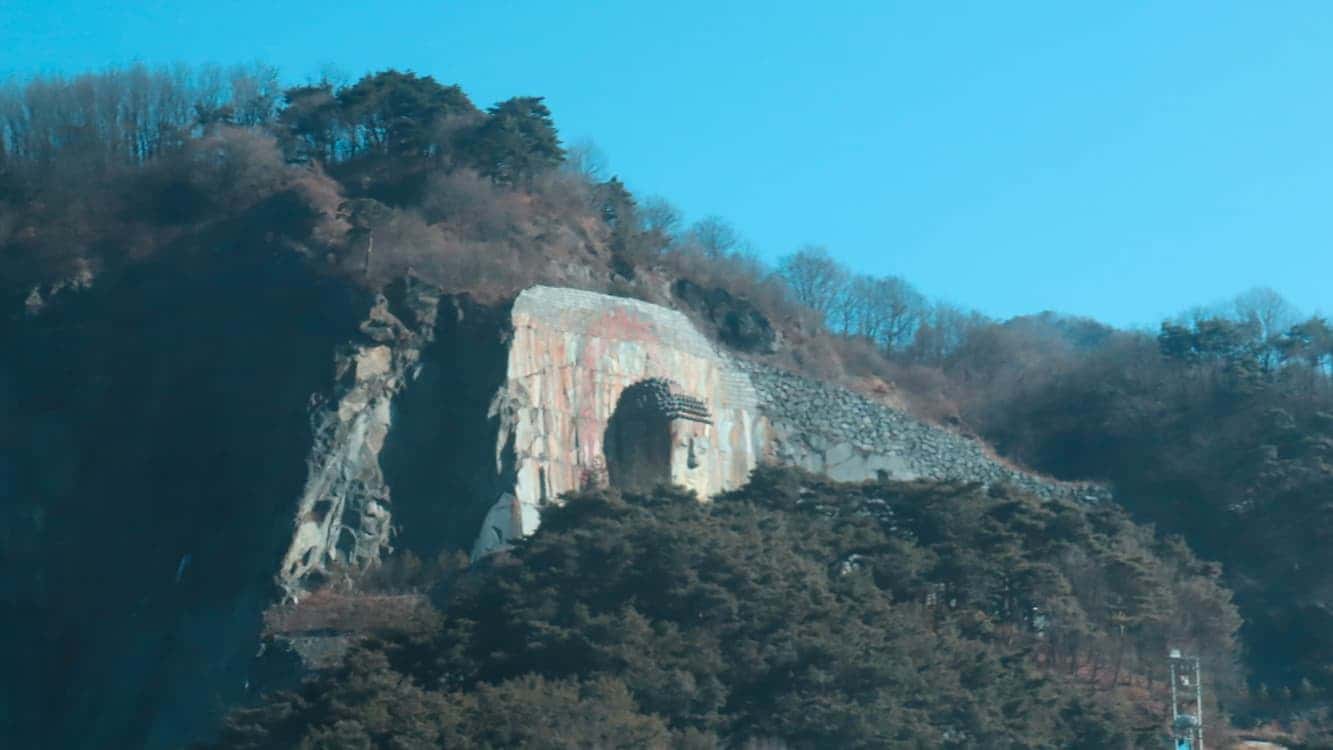 feed image 3
