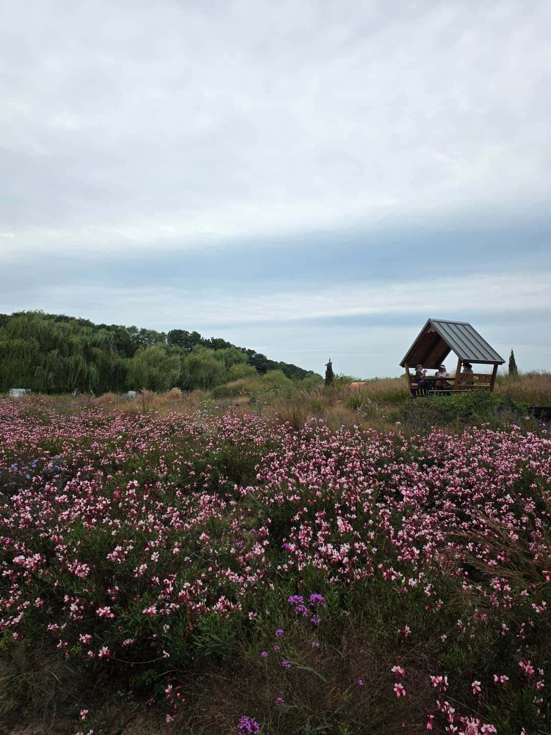 feed image 2