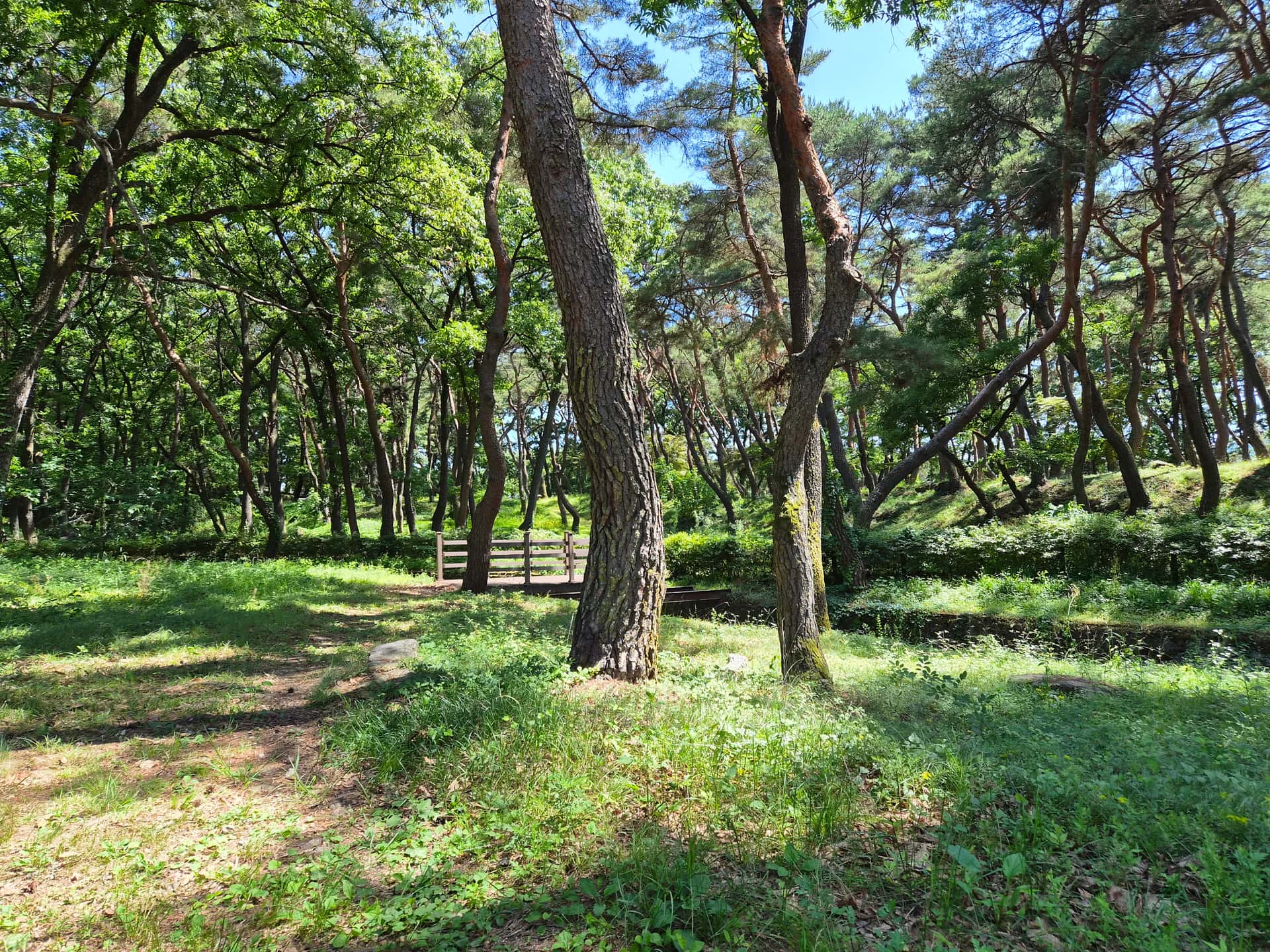 feed image 1