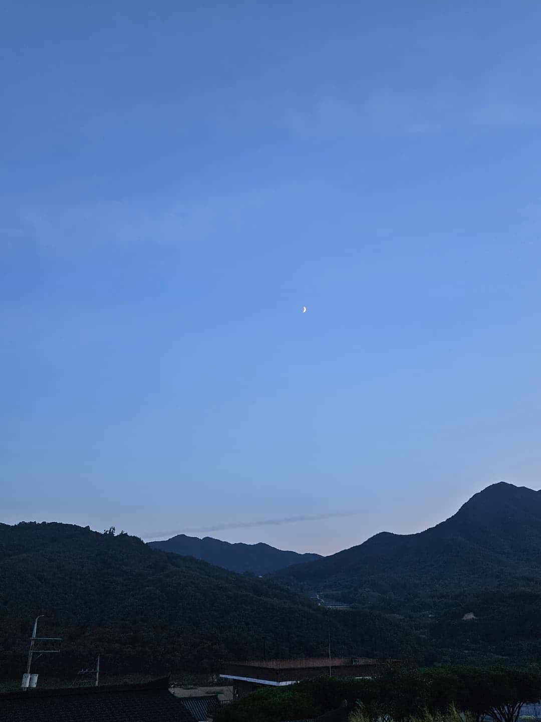feed image 4