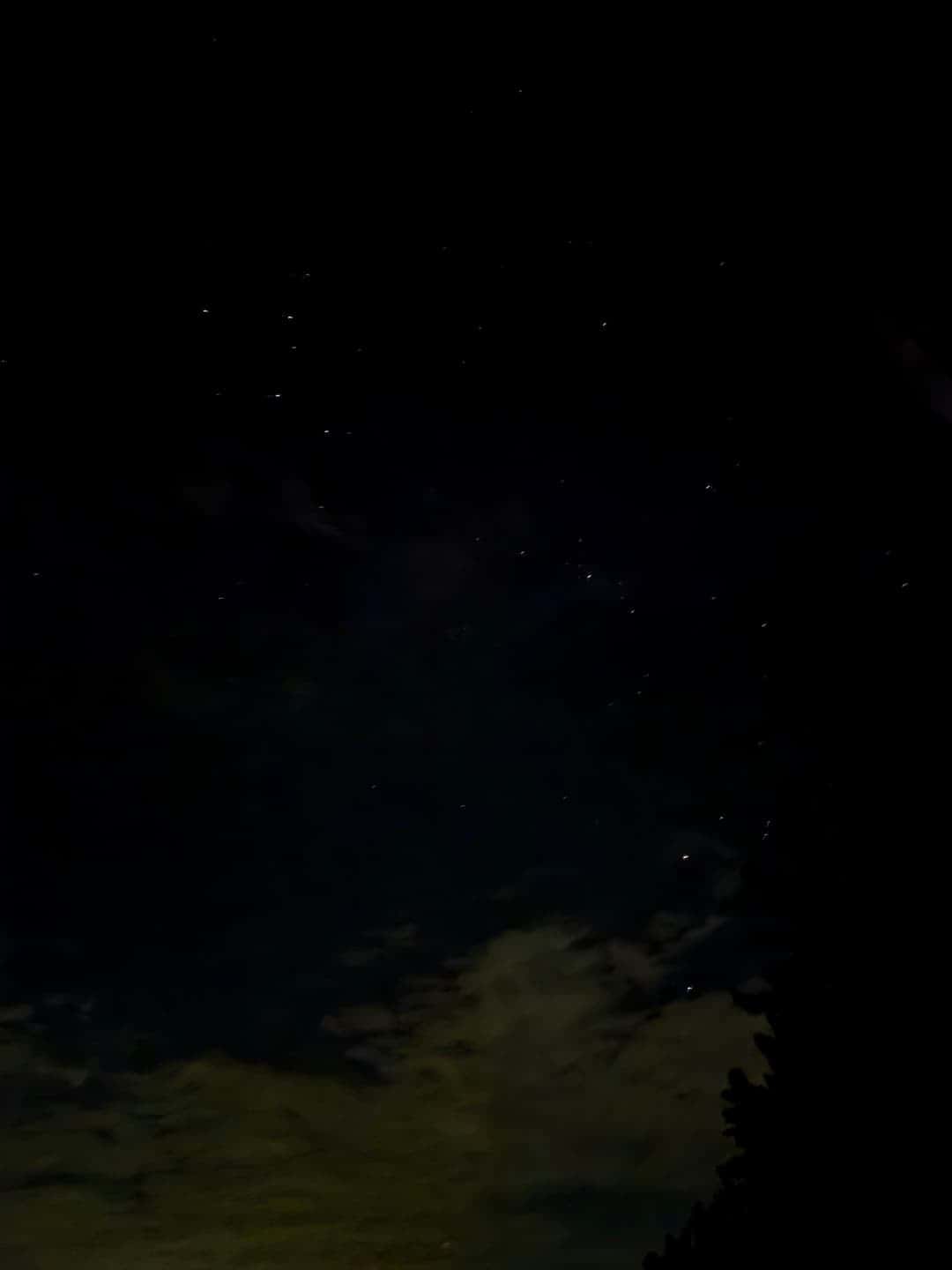 feed image 2