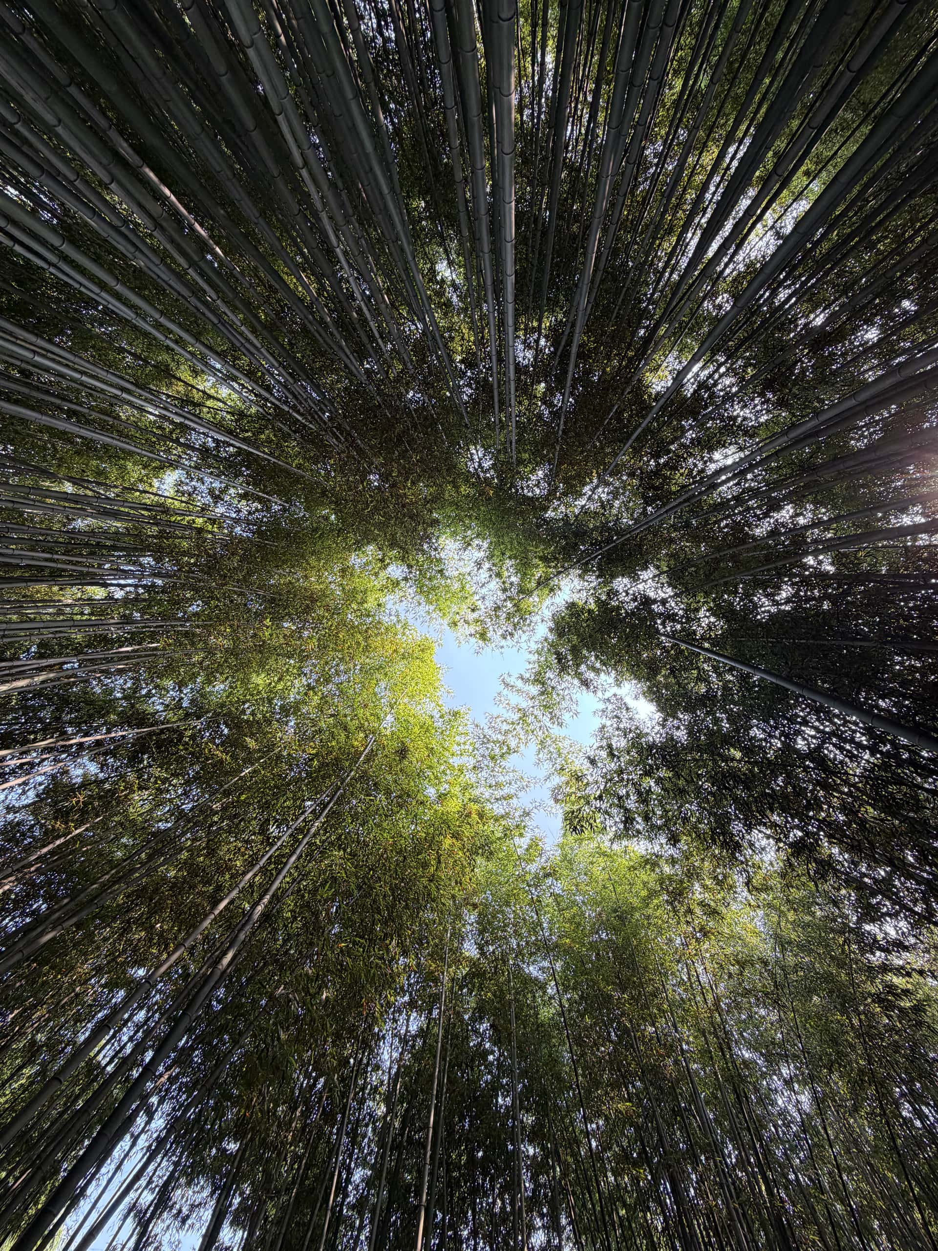 feed image
