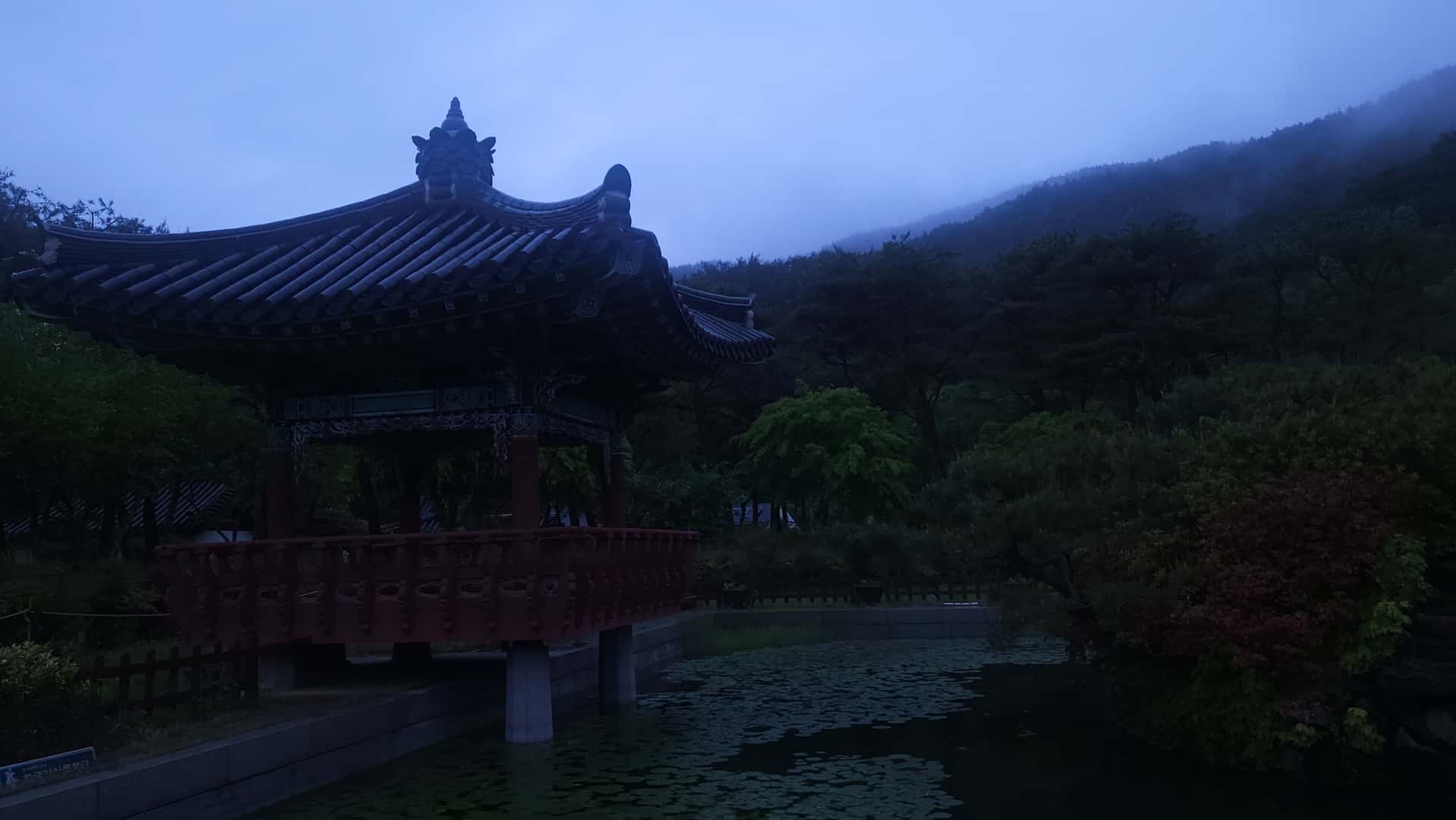 feed image 4