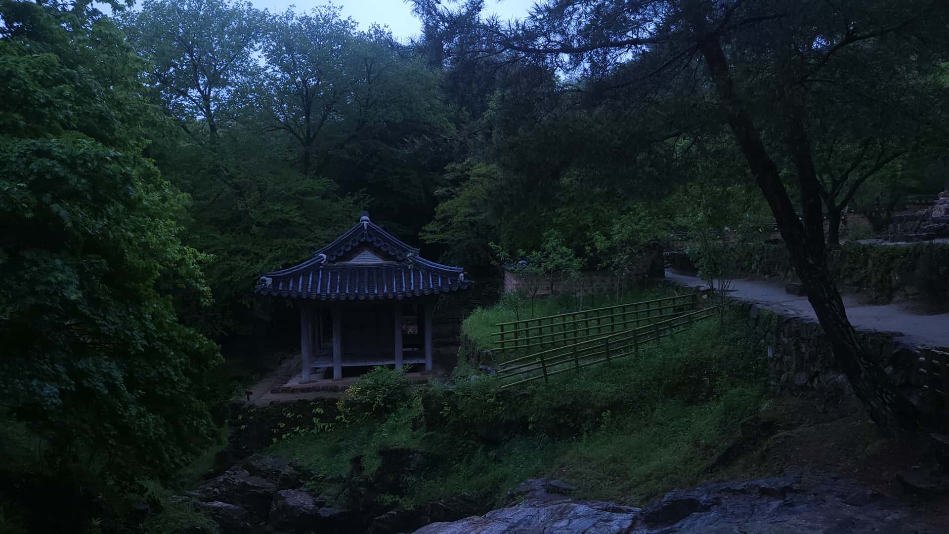 feed image 3