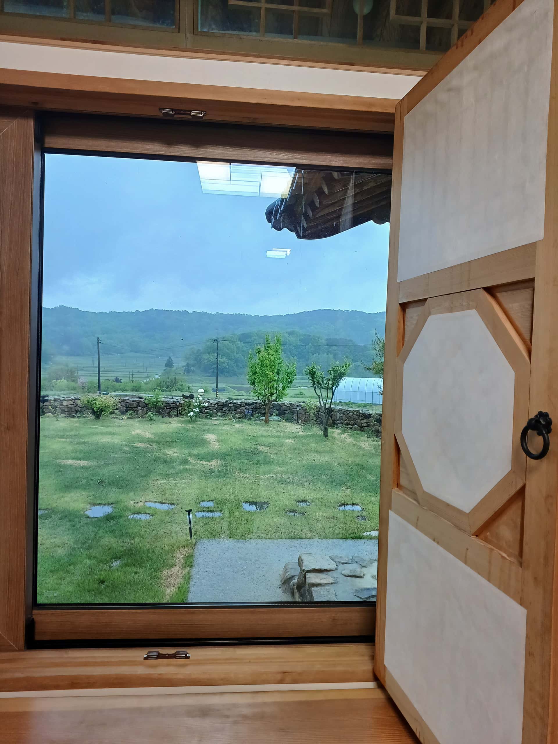 feed image 4