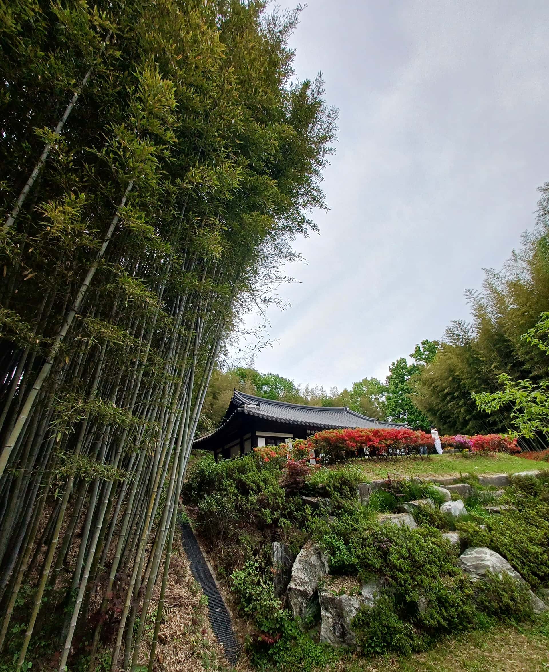 feed image 2