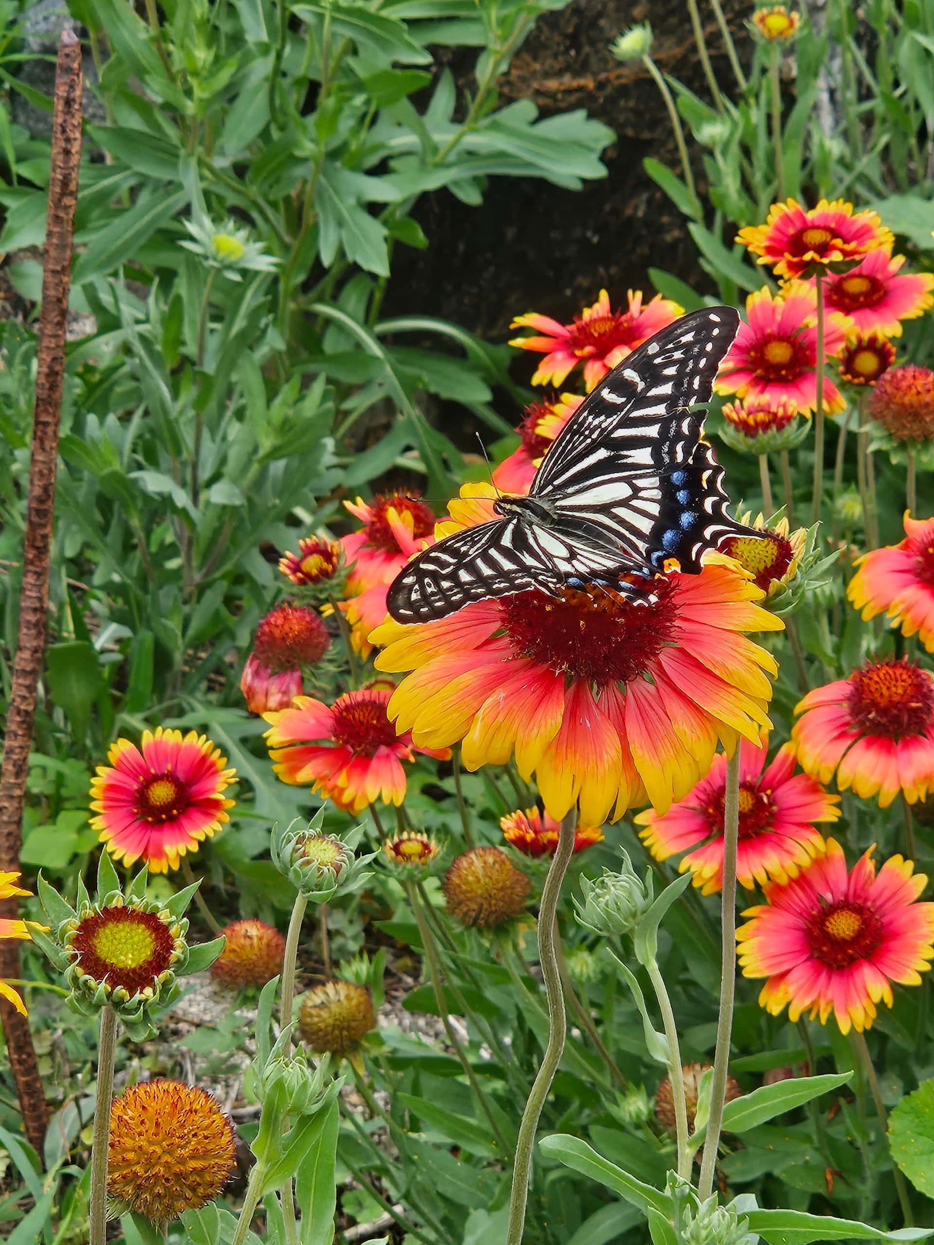 feed image 1