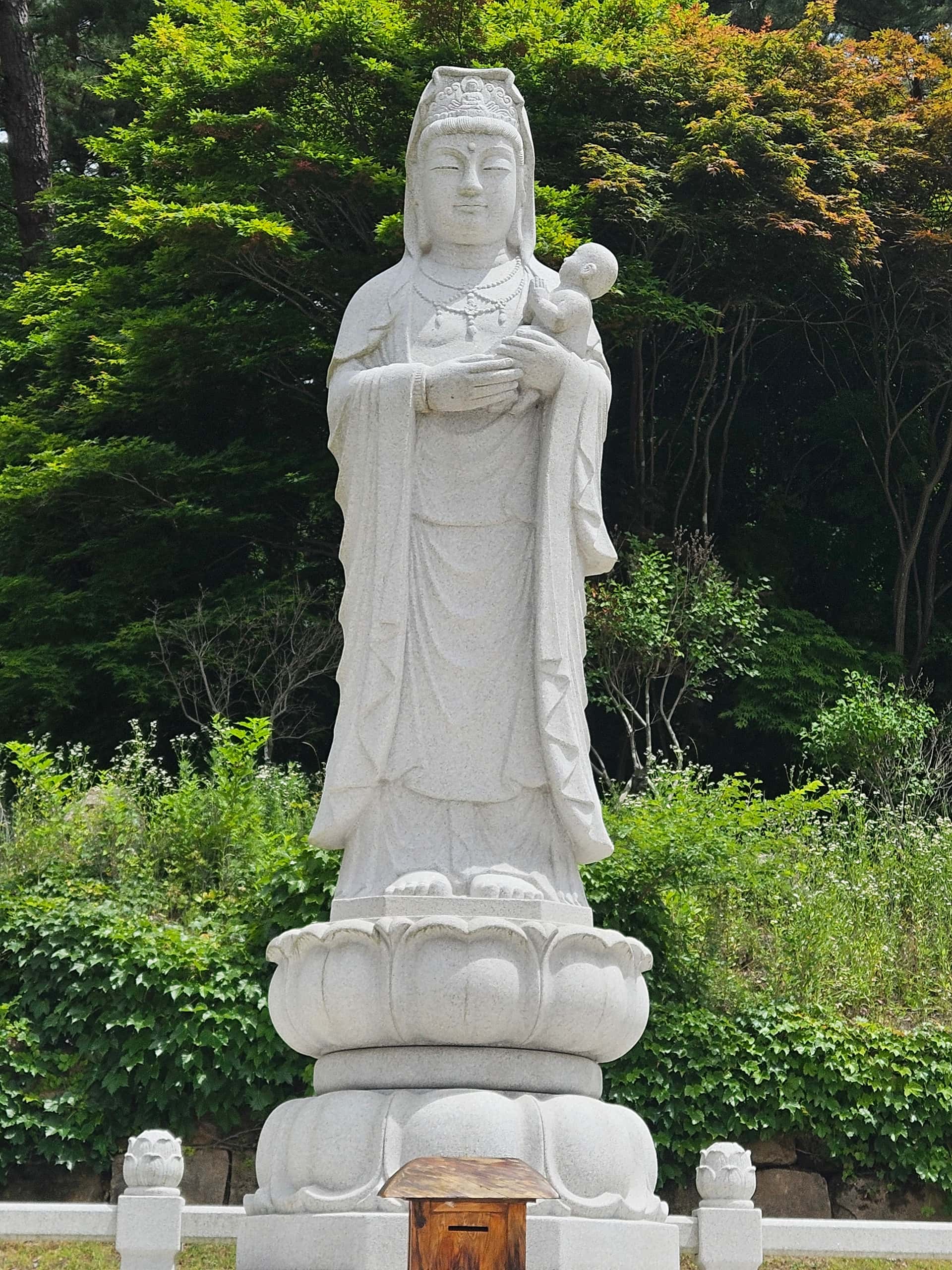 feed image 4