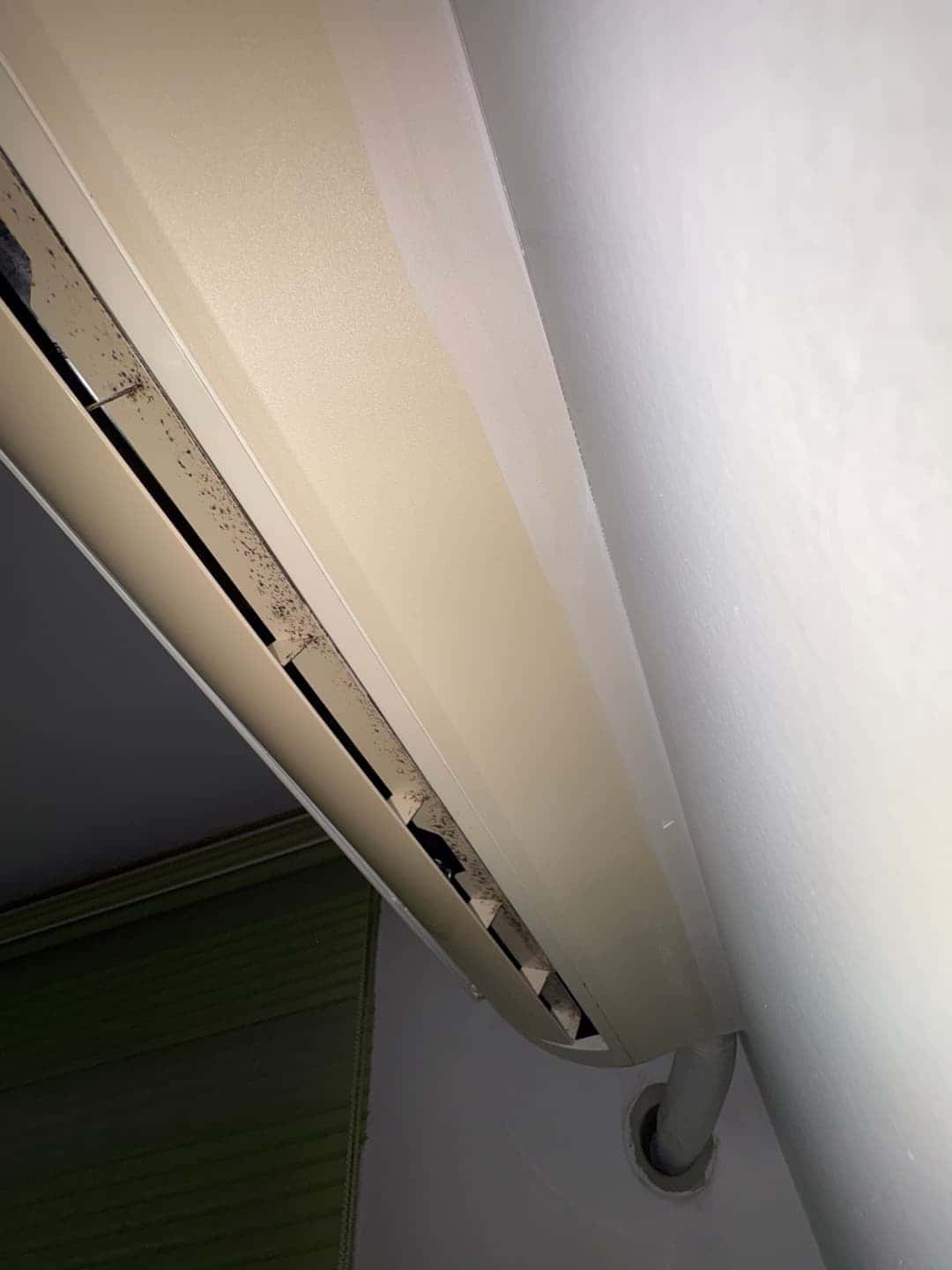 feed image 3