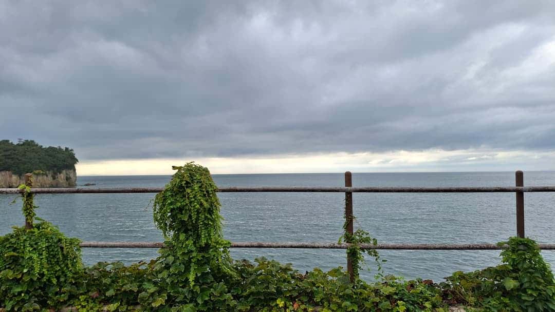 feed image 1