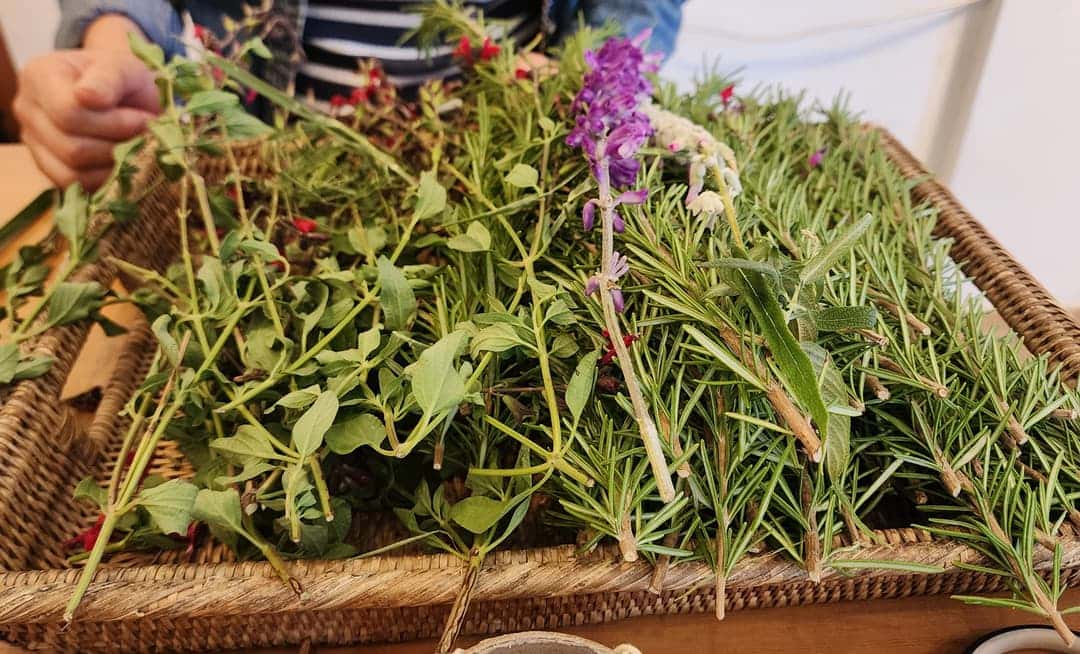 feed image 1
