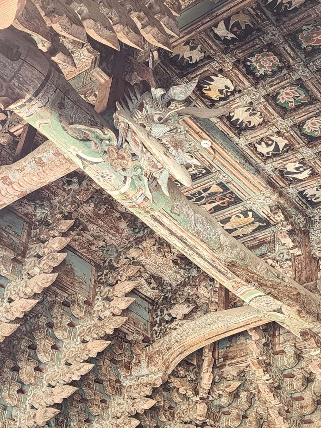 feed image 2