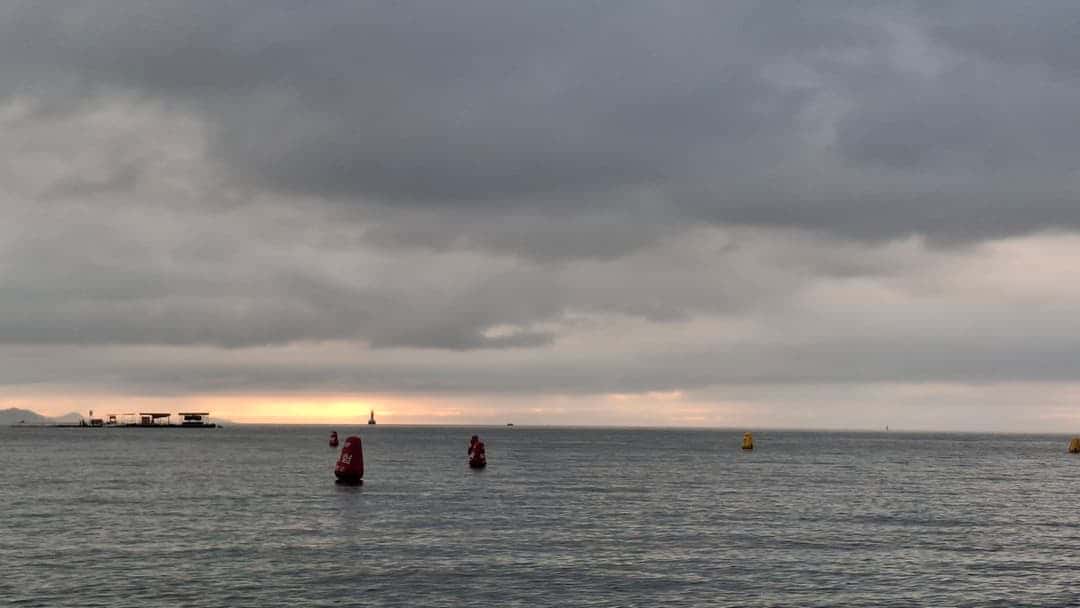 feed image 4