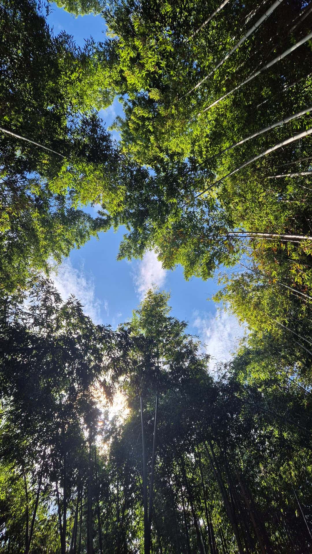 feed image 3