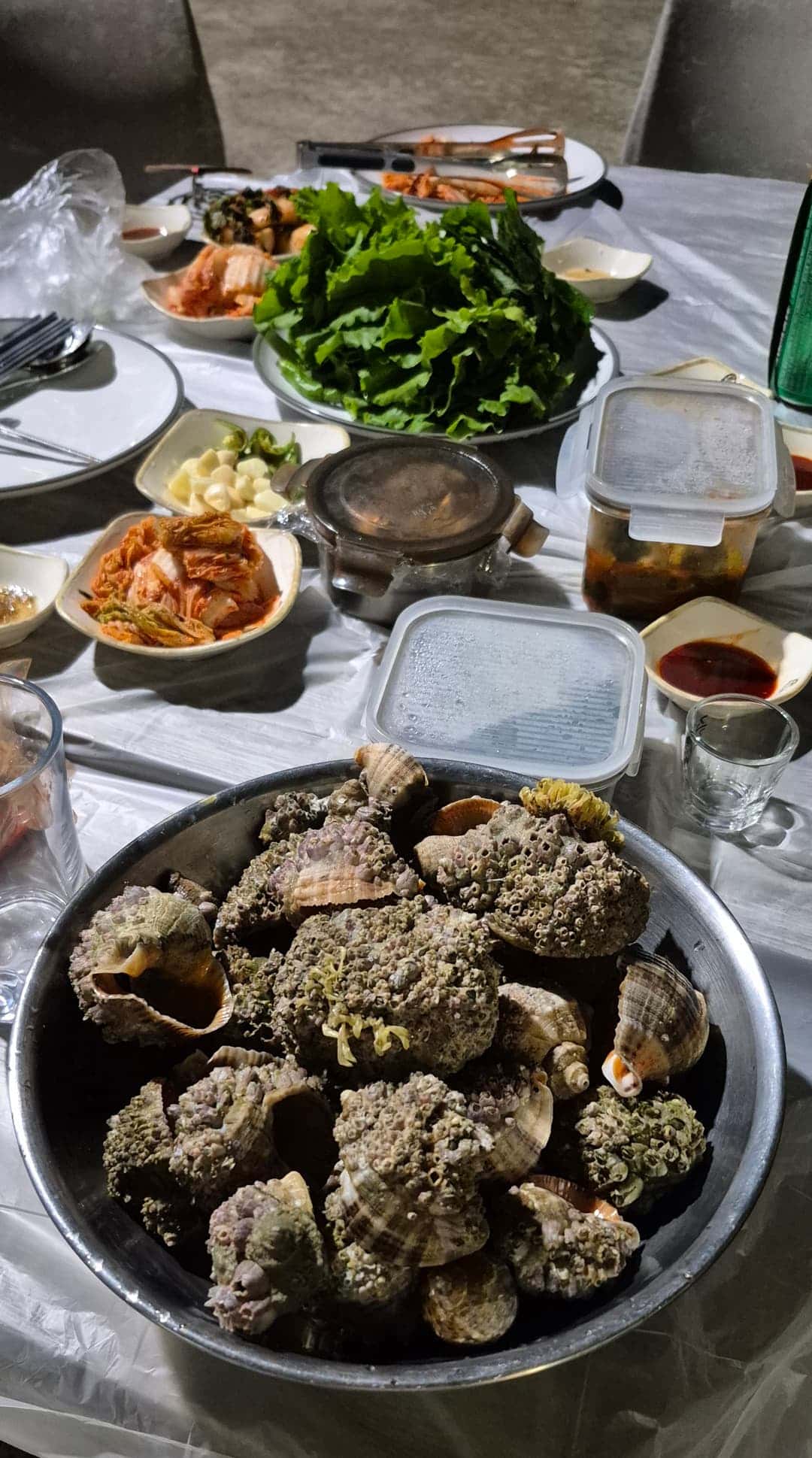 feed image 2