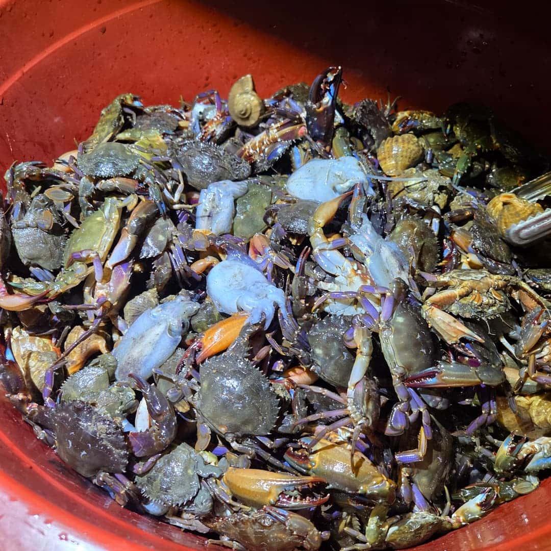 feed image 3