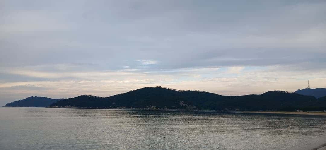 feed image 2