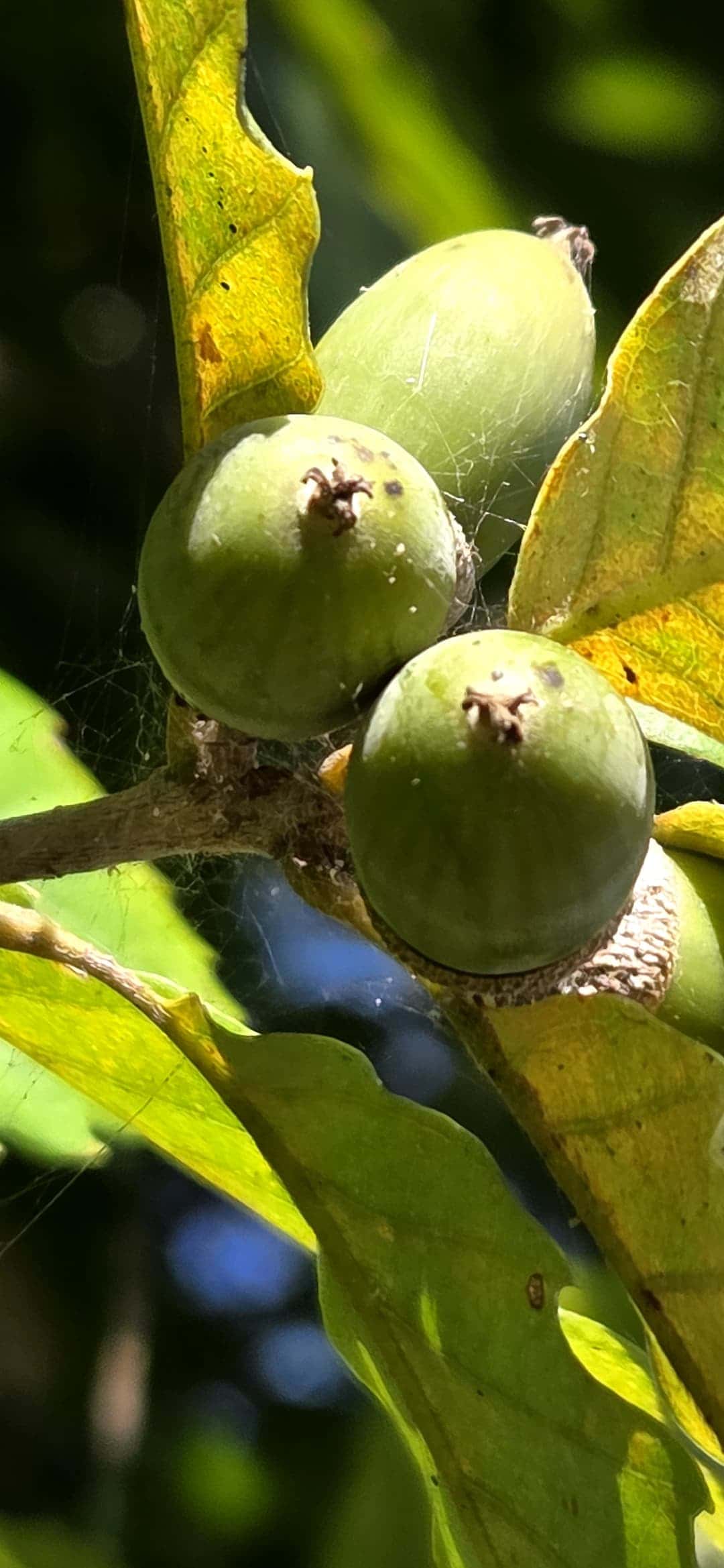 feed image 4