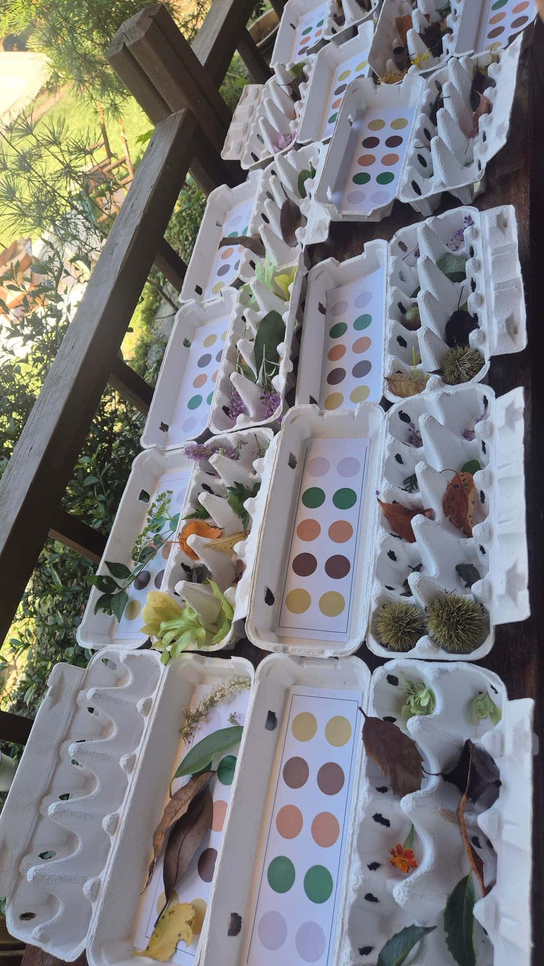 feed image 3
