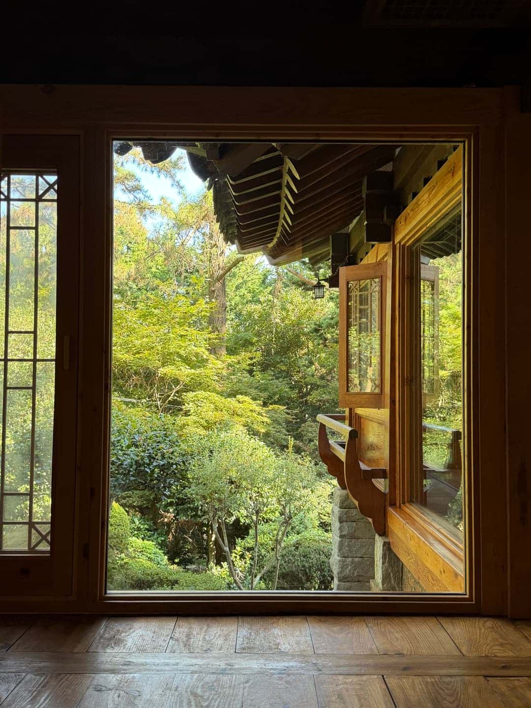 feed image 4
