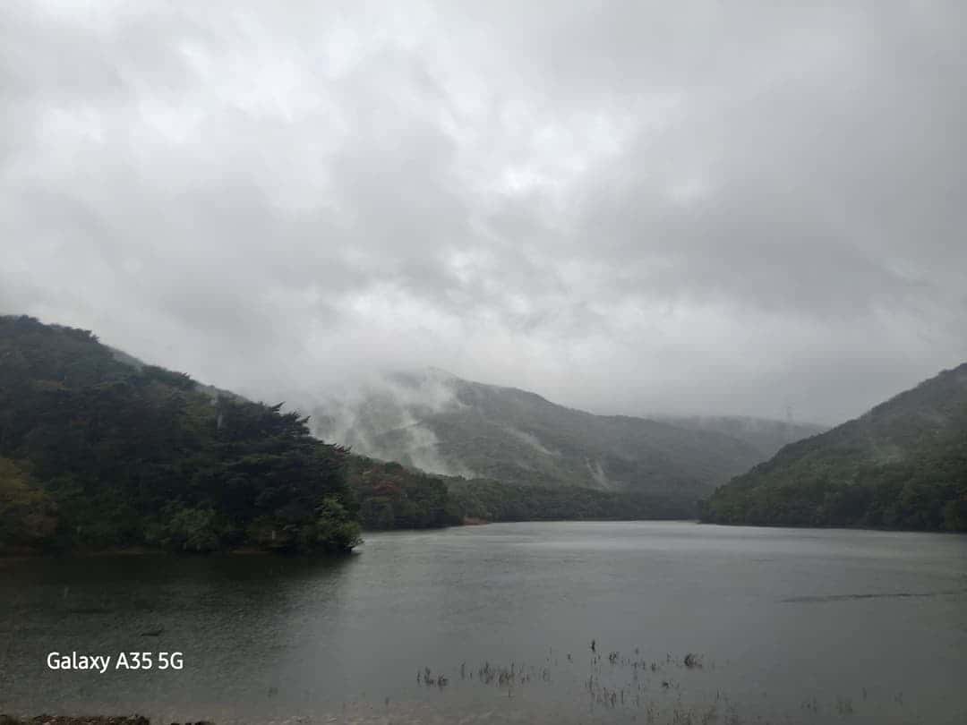 feed image 2