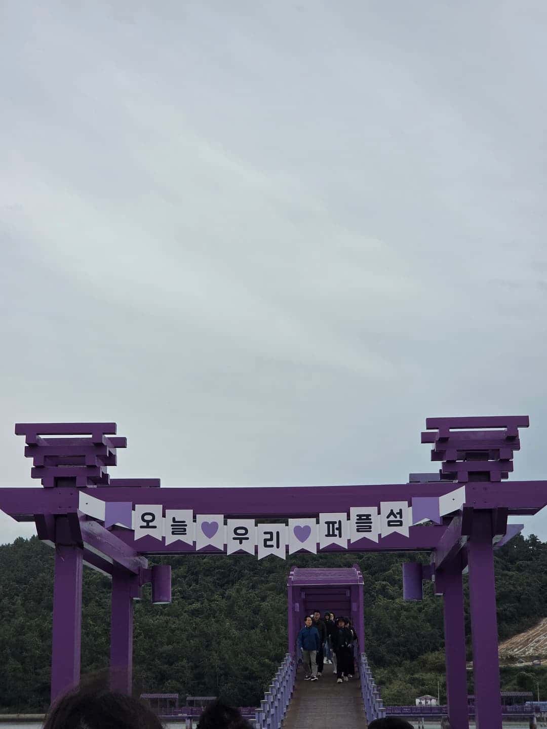 feed image 4