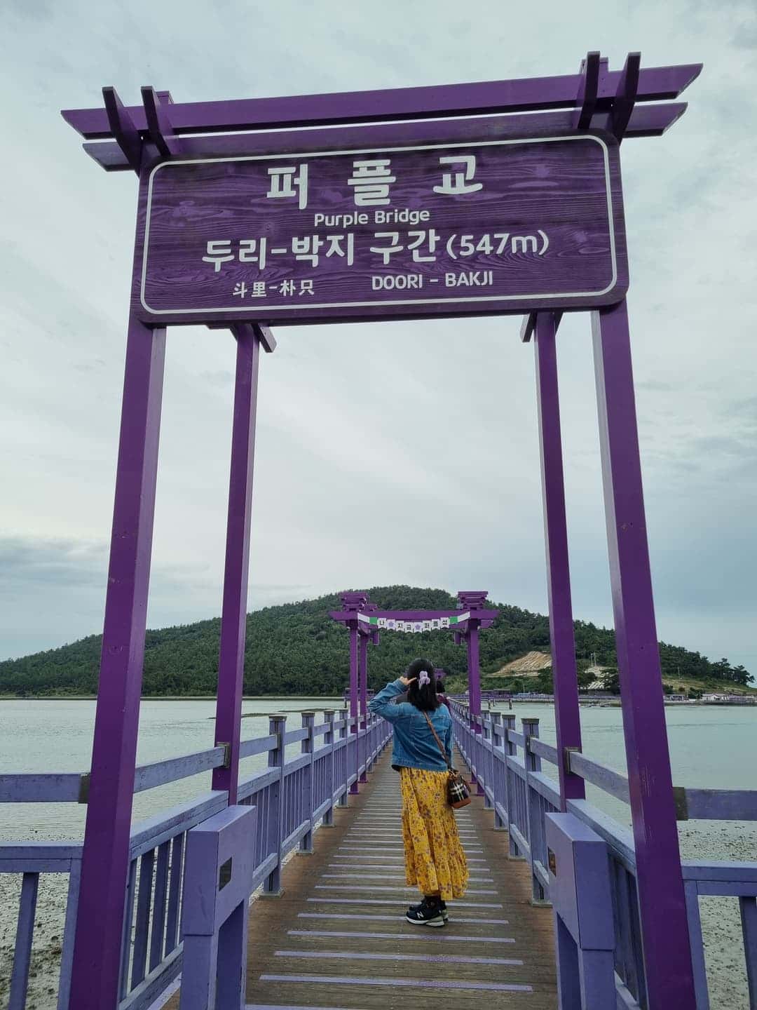 feed image 1