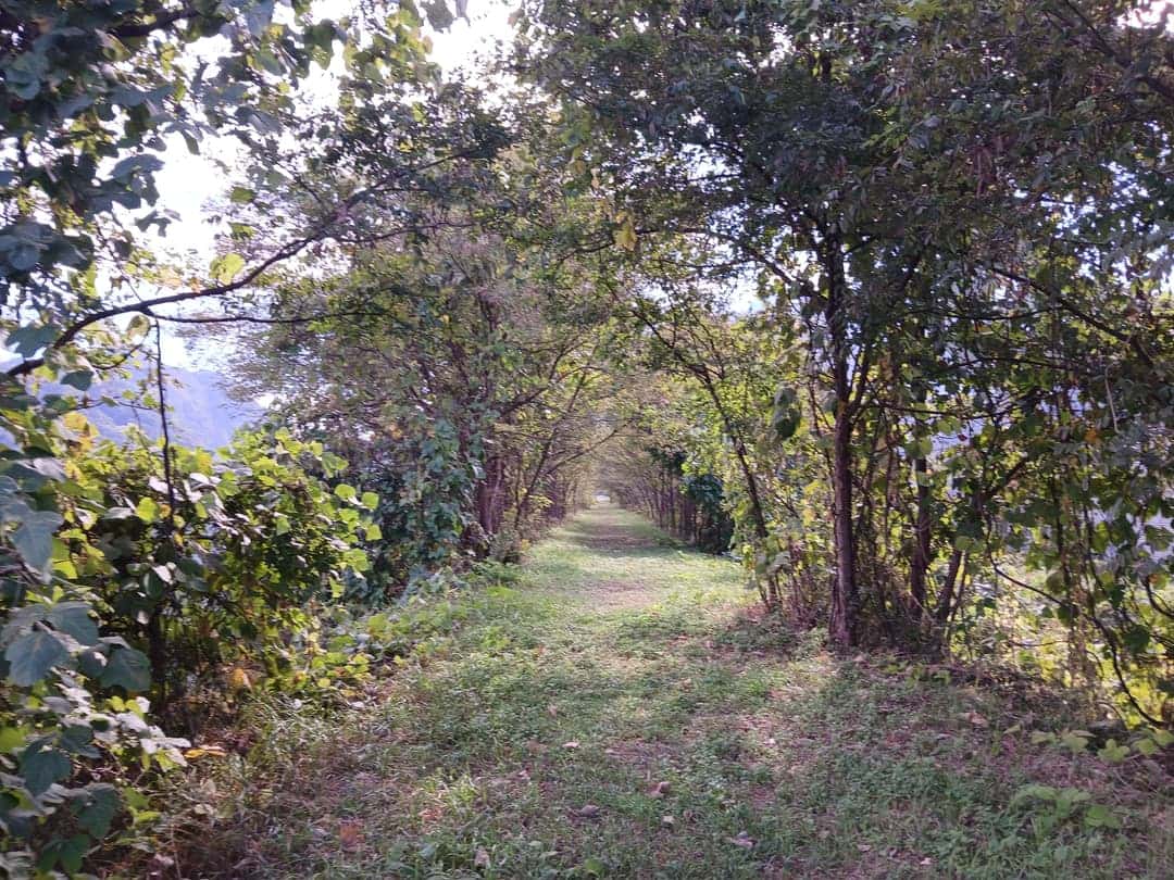 feed image 1