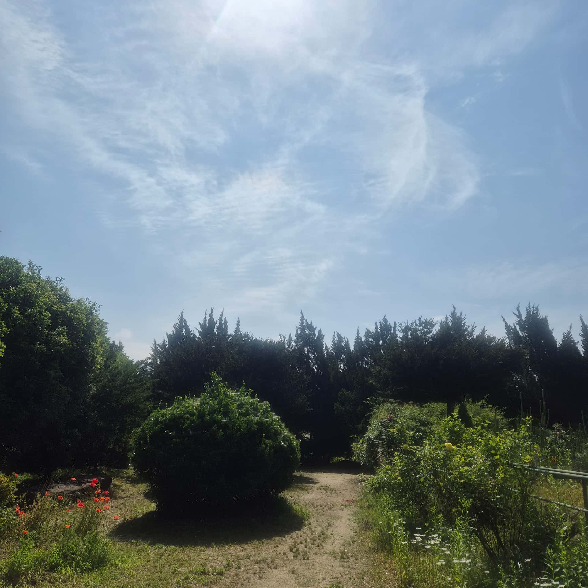 feed image 3